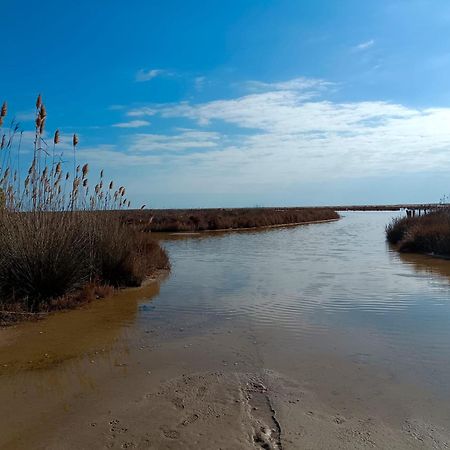 Rincon Del Delta, Apartamento En El Delta Del Ebro, Playa Trabucador Amposta, Tarragona L'Eucaliptus 外观 照片