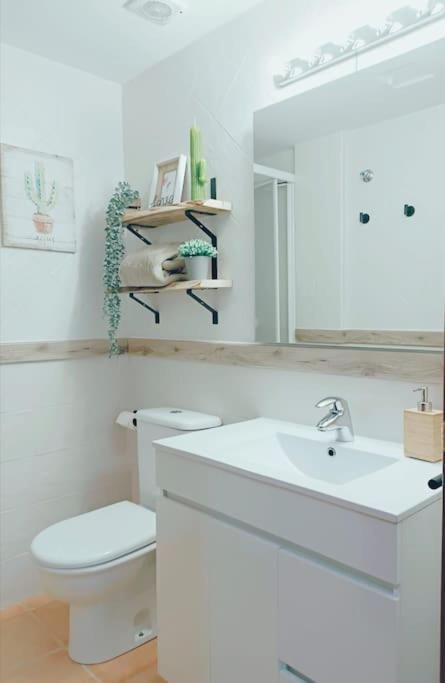 Rincon Del Delta, Apartamento En El Delta Del Ebro, Playa Trabucador Amposta, Tarragona L'Eucaliptus 外观 照片
