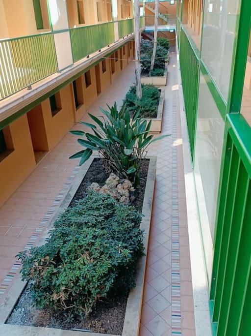 Rincon Del Delta, Apartamento En El Delta Del Ebro, Playa Trabucador Amposta, Tarragona L'Eucaliptus 外观 照片