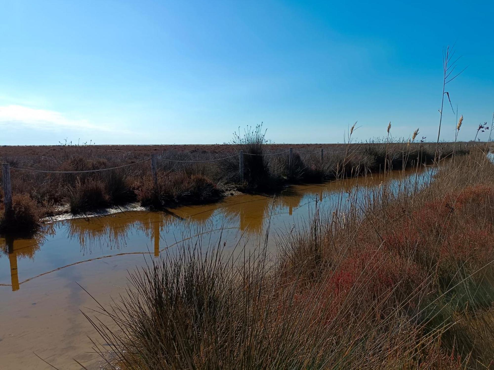 Rincon Del Delta, Apartamento En El Delta Del Ebro, Playa Trabucador Amposta, Tarragona L'Eucaliptus 外观 照片